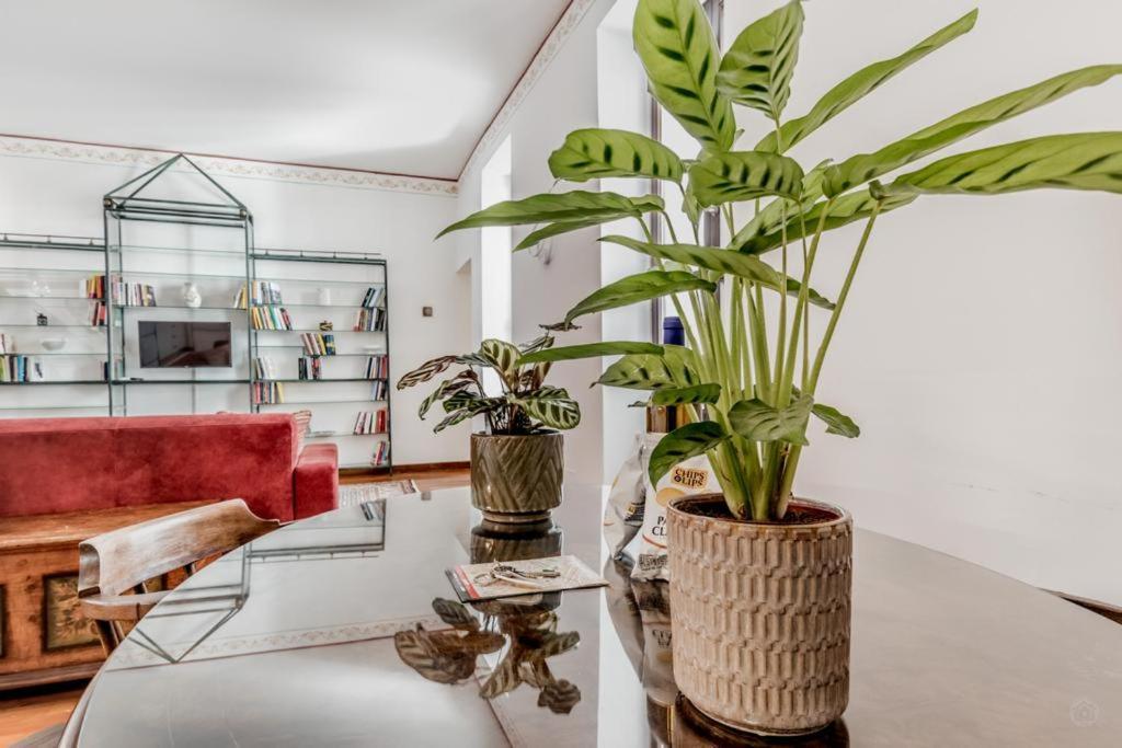 Casa Ghetto 13 Διαμέρισμα Ρώμη Εξωτερικό φωτογραφία
